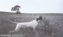 IALA DEL CELO