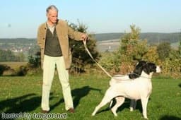 RENA VON DER POSTSCHWAIGE